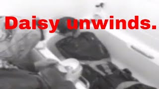 Daisy Unwinds Youtube