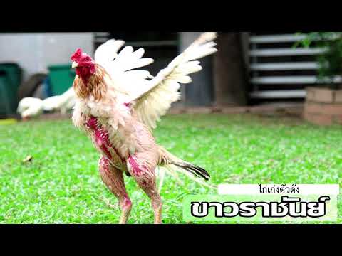 ขาวราชันย์