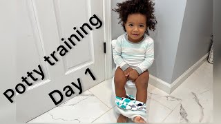 How To Potty Train A Toddler Day 1