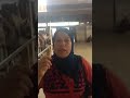 Download Algérie. Scandale air Algérie et le favoritisme. Algérie. Scandale air Algérie et le favoritisme.
