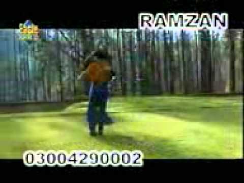 kam se kam itna dil tera aashiq