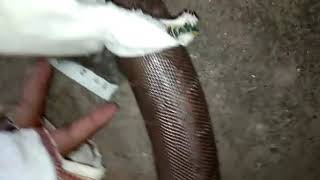 7499565970.Colme