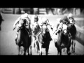 Horse Racing | We Got Ourselves A Game