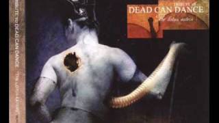 Watch Trail Of Tears The Arcane video