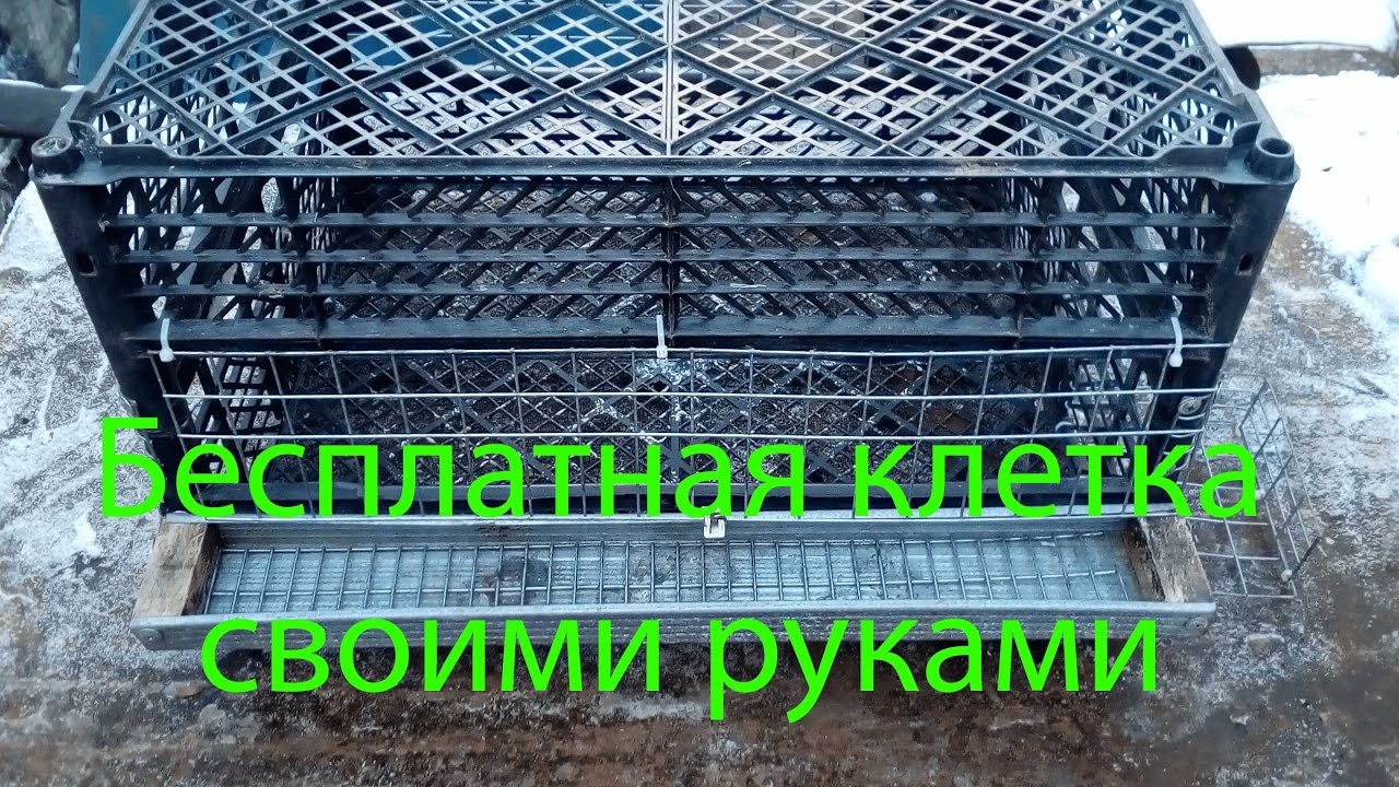 Клетки для перепелов своими руками на ютубе 64