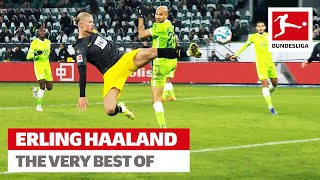 Erling Haaland - The Best Skills & Goals