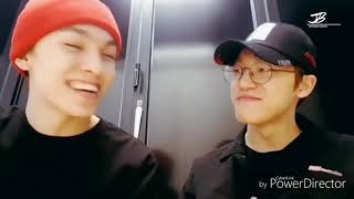 What is a Lee Chan?