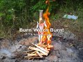 Burn Witch Burn!