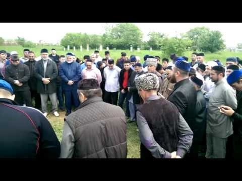 тейп аушевы в ингушетии снять квартиру