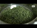 Moringa herbal healing superfood - How it's made