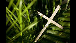 Stone Cold Silence - Palm Sunday Sermon