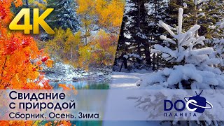 4К Свидание С Природой. Сезон 1 - Сборник. Осень. Зима - Документальный Фильм - Антистресс Сериал