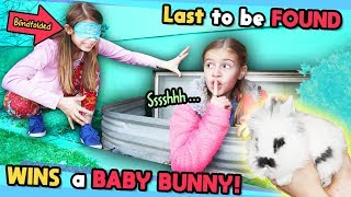 Blindfold Last To Be FOUND Wins CUTE Baby BUNNY!! Tannerites Hide and Seek Game!