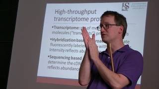 20170505 Honours Bioinformatics D Differential Gene Expression
