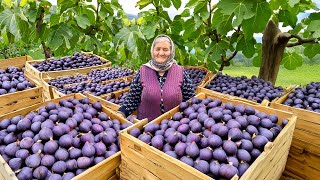 Ulduz Ninenin Hayatı Uzak Bir Köyde Bol Bol İncir Reçeli Ve Kek Yapımı