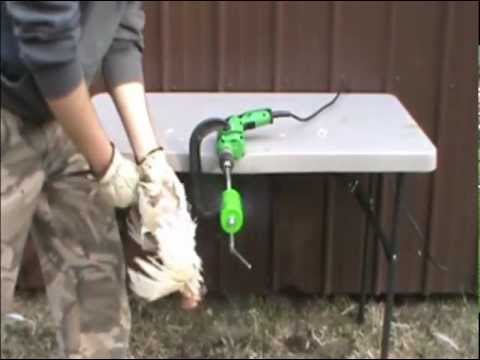 The Power Plucker- Drill Powered Chicken Plucker