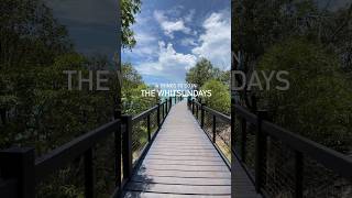 Things To Do In The Whitsundays