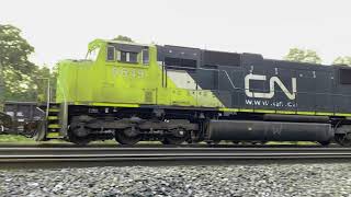 The Cn Train But Its Different Colors