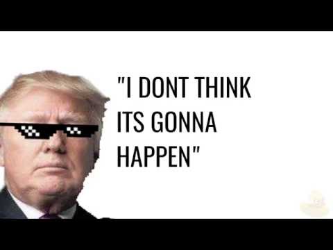 THE DONALD TRUMP SONG