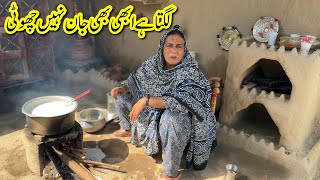 Lagta Hai Abhi Bhi Jaan Nahi Choti Kab Hamari Jaan Chote Gi Rabia Ahmad Vlogs