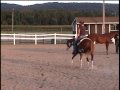 Shes Slightly Zipped - Freestyling at the Keystone QH Futurity Show in PA - September 2009