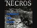 Necros Search For Fame Necros Search For Fame