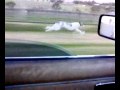 My greyhound Chelsea running beside my car going 75kmph