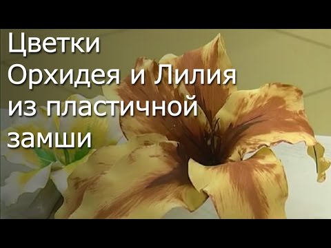 Душистый горошек из мастики мастер класс Душистый горошек из мастики мастер класс