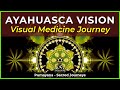 Mandalas vision - spread your light