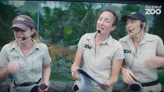 Crazy for Conservation