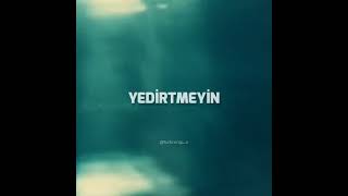 Norm Ender - Kediler Aslan Olmaz (lyrics edit)