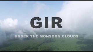 Gir National Park Courtesy - Wildlife Division, Sasan -Gir, Gujarat Forest Department