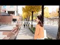 두리필름 : 가을의 서촌 나들이, 집 청소, 계속 먹는 브이로그, korea daily vlog