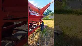 6 Fan Wala Thresher Machine