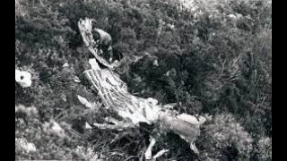 Aeropostal Alas De Venezuela Flight 108 Pit Voice Recording March 5Th, 1991