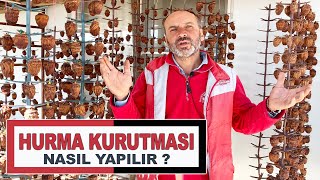 Trabzon Hurması Kurutması Nasıl Yapılıyor Hurma Kurutması Aşağı Azaplı Köyü Gölbaşı Adıyaman