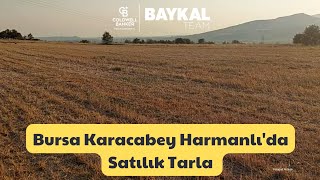 Karacabey Harmanlida 4.000 M² Satilik Tarla