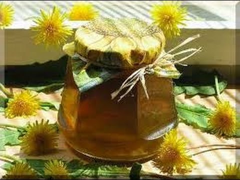 Целебный мед из одуванчиков. Целебный мед из одуванчиков.