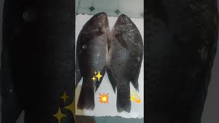 La Source De La Viande Blanche