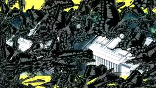 Dragon Crisis AMV