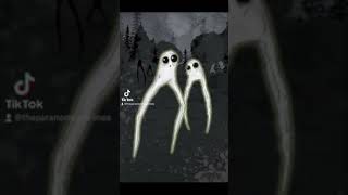 The Fresno Nightcrawlers