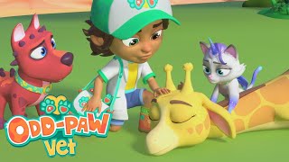 Banged My Head Odd-Paw Vets Amazing Animal Rescues Cartoons For Kids