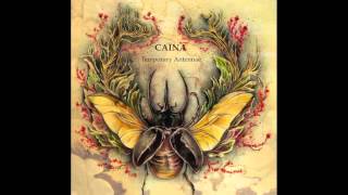 Watch Caina Tobacco Beetle video