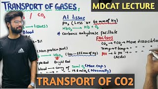 Transport Of Oxygen In Blood Nmdcat 2021