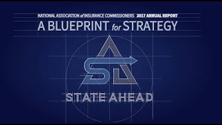 2017 Annual Report Video