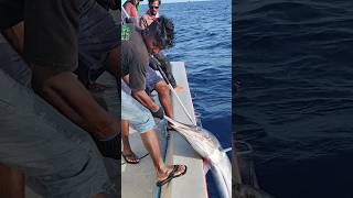 Maldives Tona Fishing