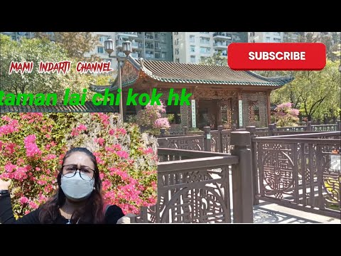 main kekota lai CHI kok!?? sangat indah sekali#mami Indarti channel😍