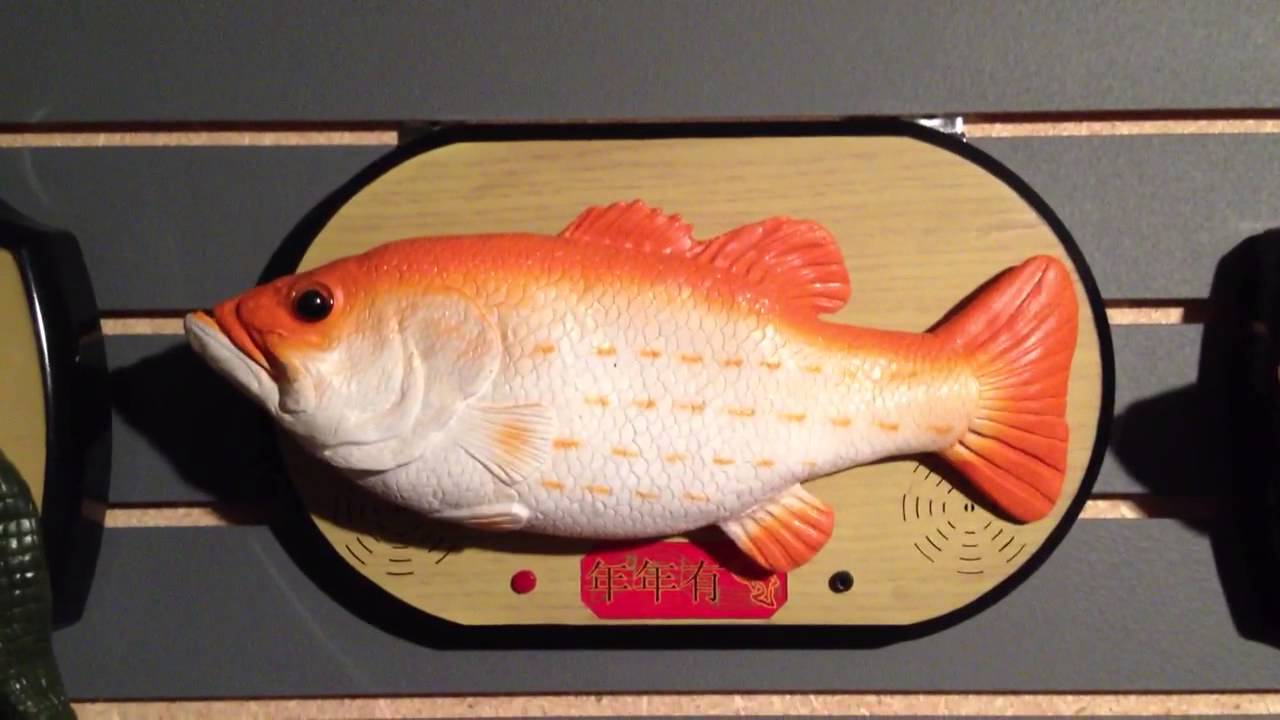 new year singing fish new year singing fish new year singing fish new year singing fish