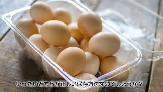 卵の保存【雑学番組】