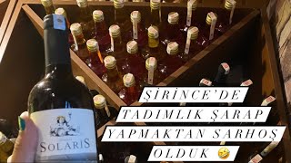 Şi̇ri̇nce Şarap Mahsenleri̇